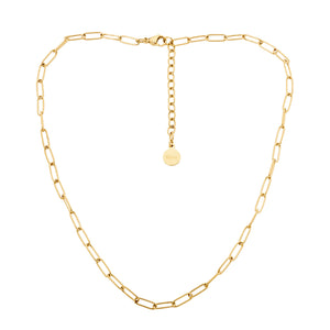 Ellani Gold Steel Paperclip Chain Necklace